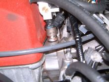 DSCF1560.JPG