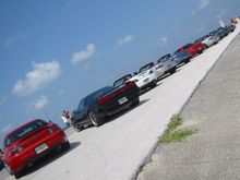 Tarpon 017 small.jpg