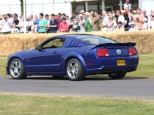 image335.jpg
