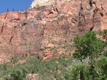 IMG_0186.jpg
