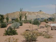 050721 Utah, rest stop plants 219PM.JPG