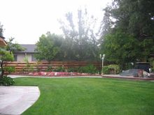 Picture 040.jpg