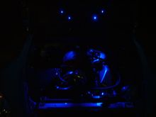 wanker lights 021.jpg
