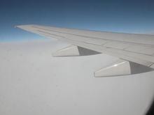 sm DSCN3859 wing_sky.JPG