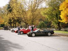 Queenie/Allegheny Drive