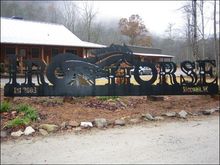2-mcdragon2005-IMG_0143.jpg