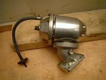 bov.jpg