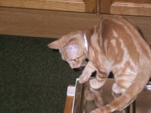 DSCF0540.JPG