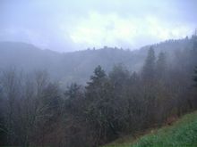 DSCF0713.JPG