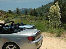 060704 both Ss yucca 0002.JPG
