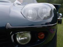 DSC04366x800.jpg