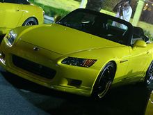 IMG_9887_filtered.jpg