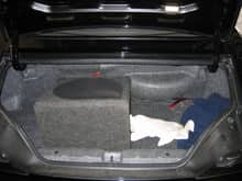 Trunk of car Covered