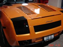 DSC01374.JPG