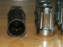 sLugs2.JPG
