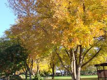DSC00120.JPG
