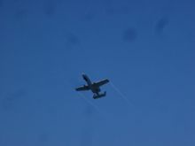 DSC04802.JPG