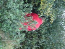 DSC01403.JPG