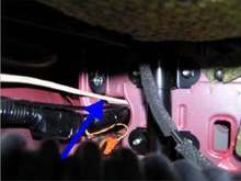 cable route from trunk