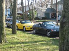 IMG_6932.jpg