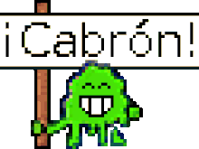 schleimer_sp_3000.gif