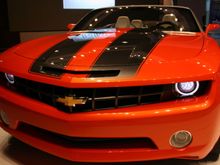 IMG_0453.JPG