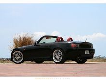 IMG_0203.jpg