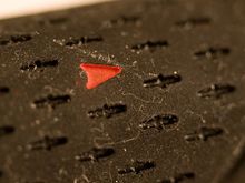 macro4.jpg