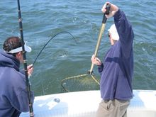 IMG_5258.jpg