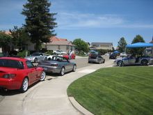 IMG_4262.JPG