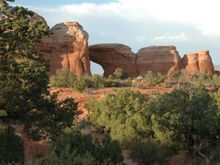 DSC_2430.JPG