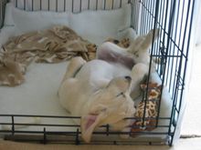 IMG_0287.JPG