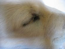 IMG_0294.JPG