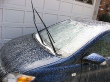 IMG_0003.JPG