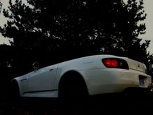 IMG_0004.jpg