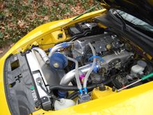 DSC_0059.JPG