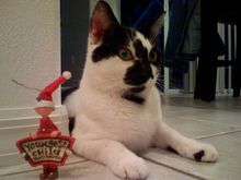 IMG_0291.JPG