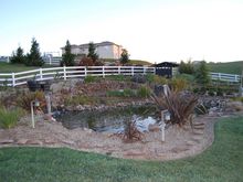 Pond Makeover 2008-03-04_1.JPG