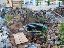 aYard 4-6-08 012.jpg