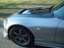 DSC01772.jpg