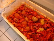 Wake the Crawfish 2008 088.JPG