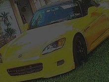 s in lawn2.jpg