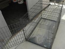 DSC_9162 080514 dog cage.JPG