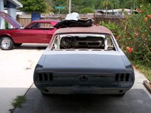 mustangs 002.JPG