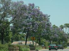 DSC_9253 080531 La Paz Rd 2.JPG