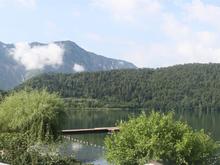 IMG_0003 (Large).JPG