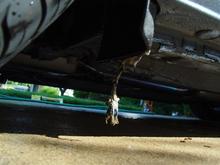 DSC02132 (Medium).JPG