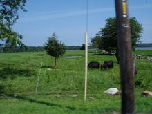 DSC02004a.jpg