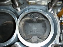 DSCN0100.JPG