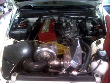 PIC-0116.jpg
